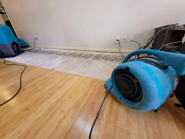 Professional Emergency Water Damage technician working in Gladstone, OR